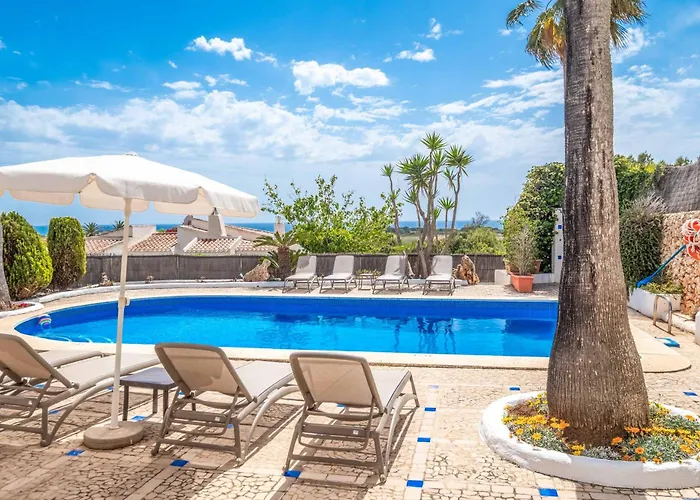 Delfin 알라이오르